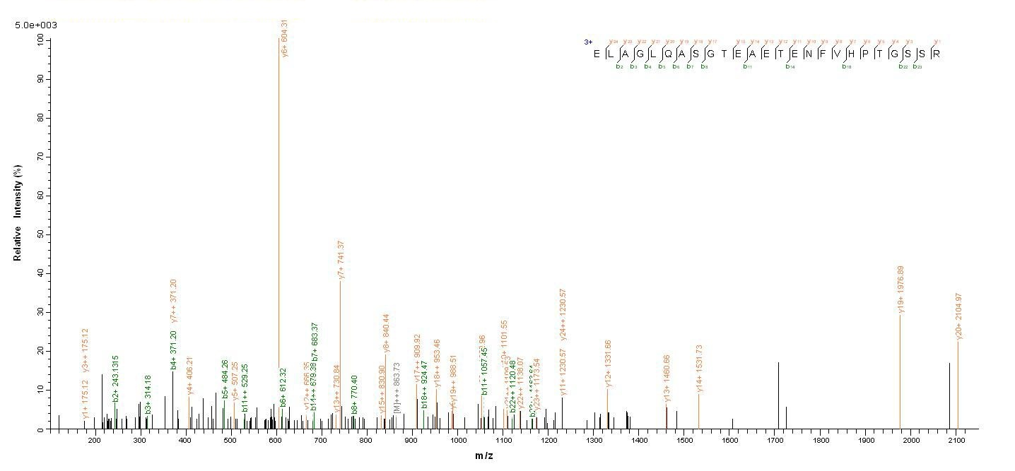 Human CHRM3 protein
