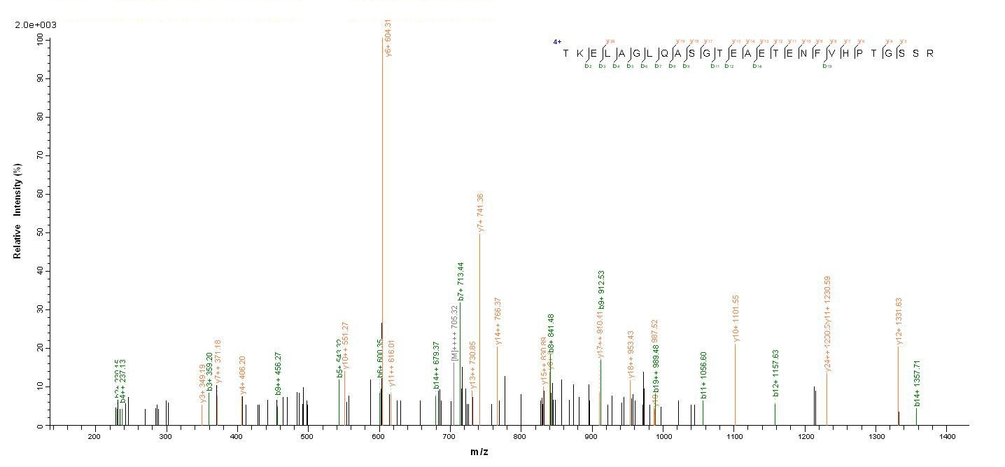 Human CHRM3 protein