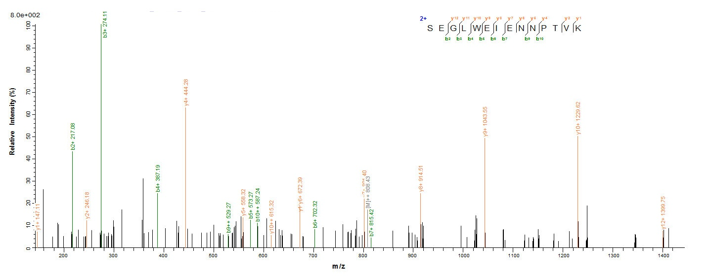 Mouse HDGF protein