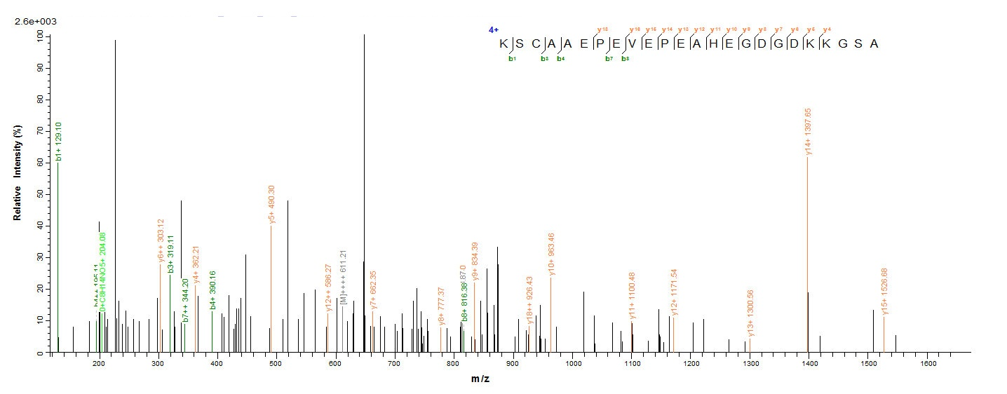 Mouse HDGF protein