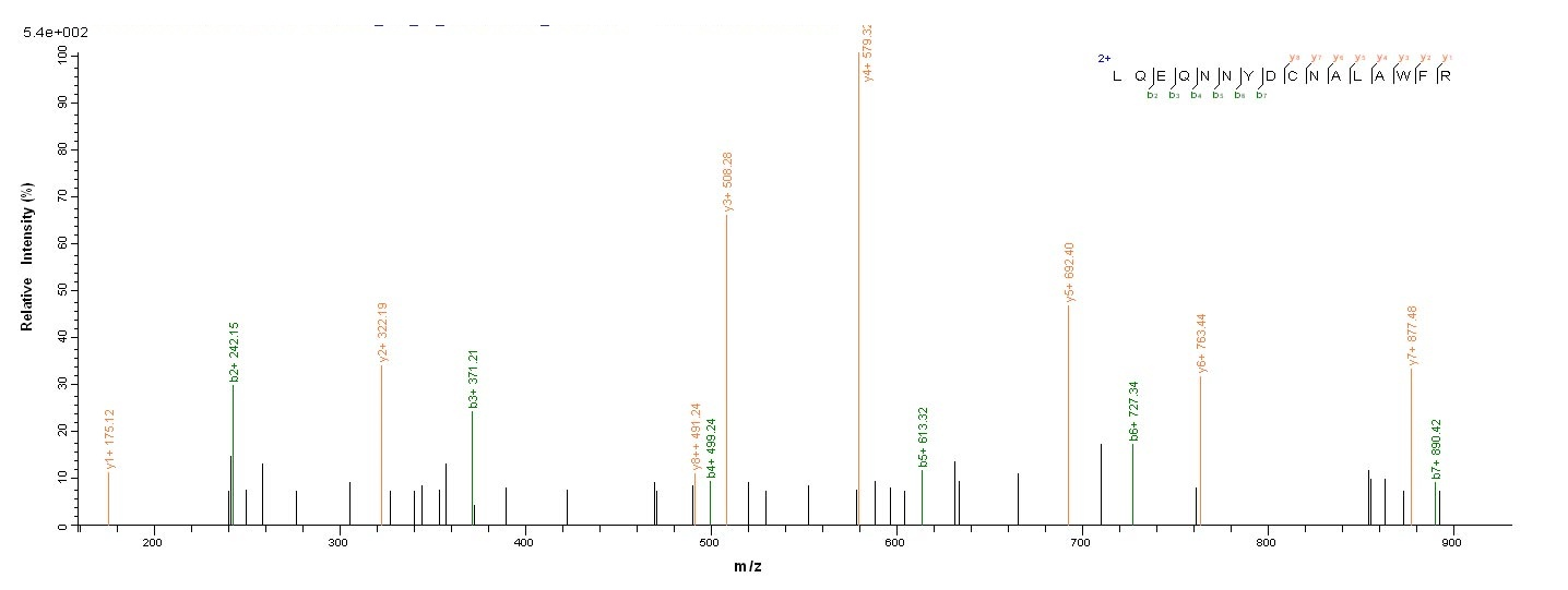 Bacterial PLCH protein