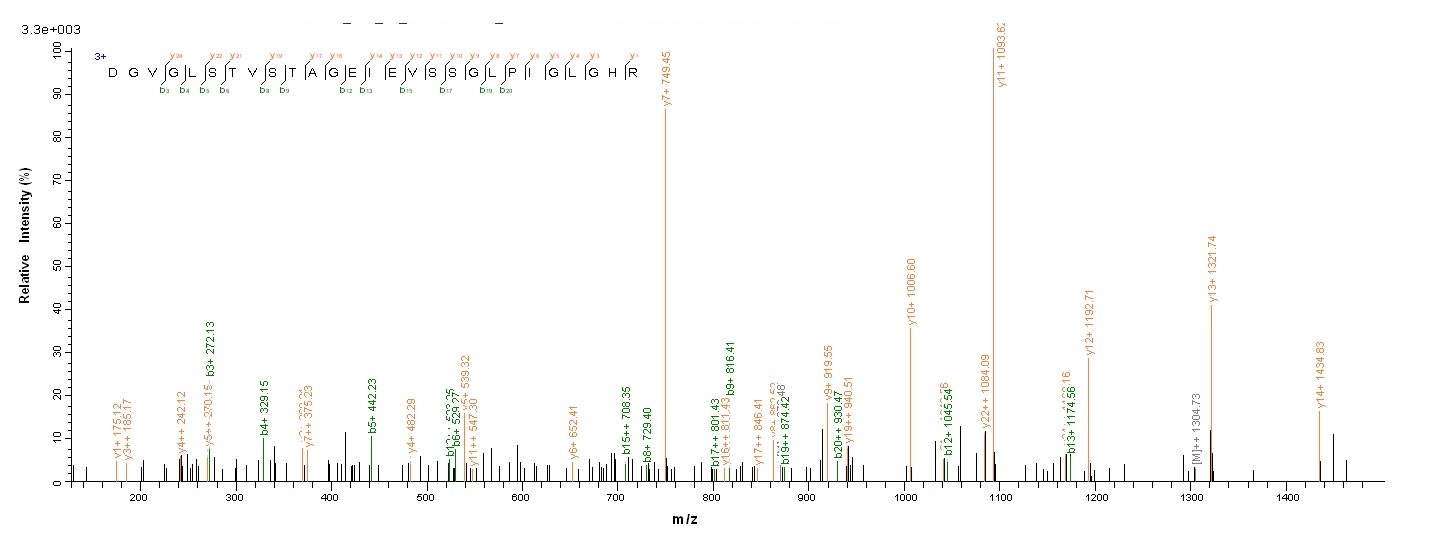 Bacterial PLCH protein