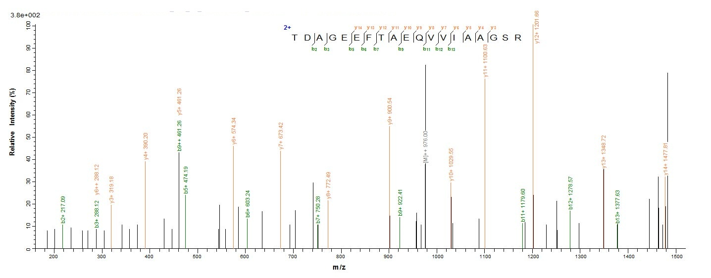 Bacterial MTR protein