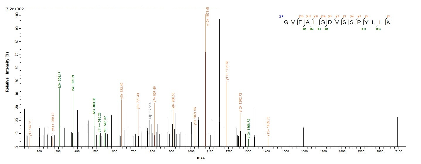 Bacterial MTR protein