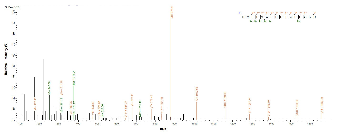 Bacterial NADB protein