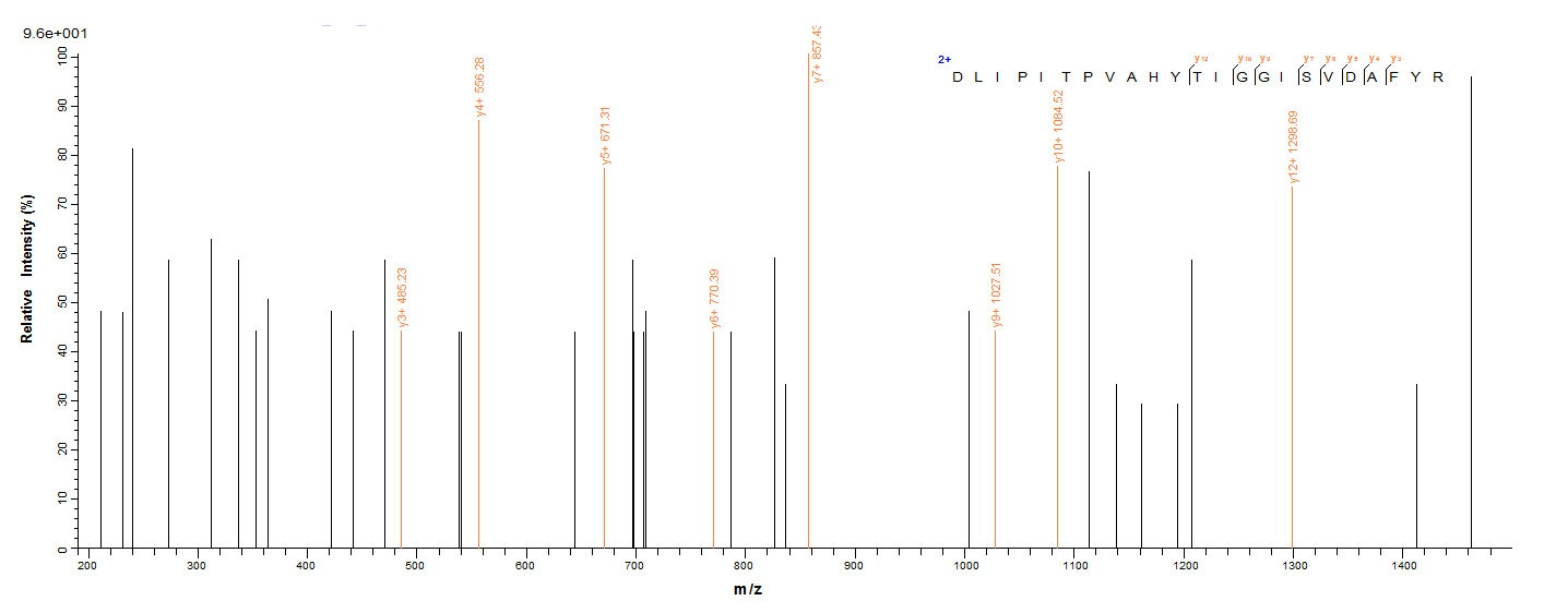 Bacterial NADB protein