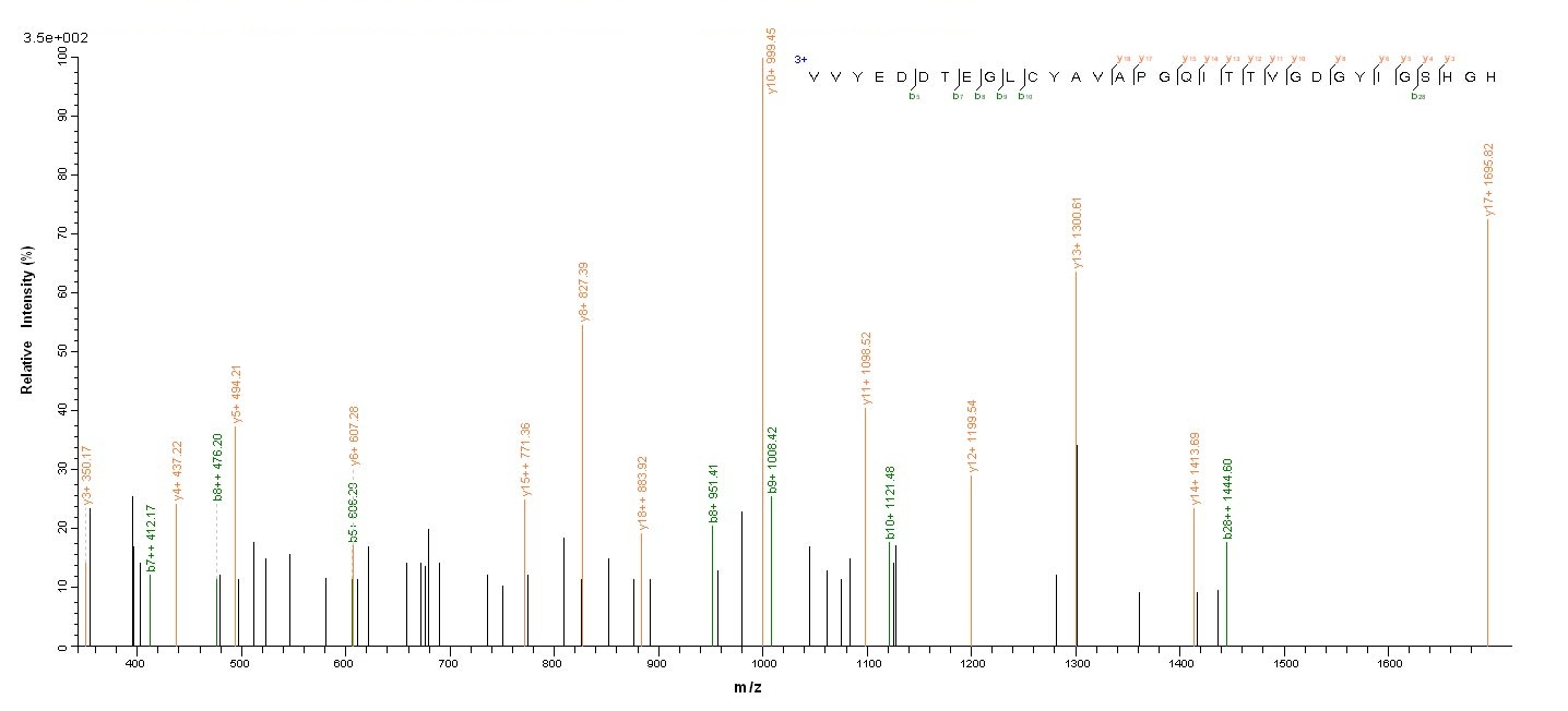 Bacterial alpha-amylase inhibitor HOE-467A protein