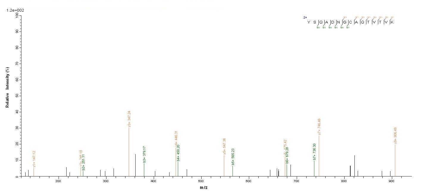 Bacterial alpha-amylase inhibitor HOE-467A protein