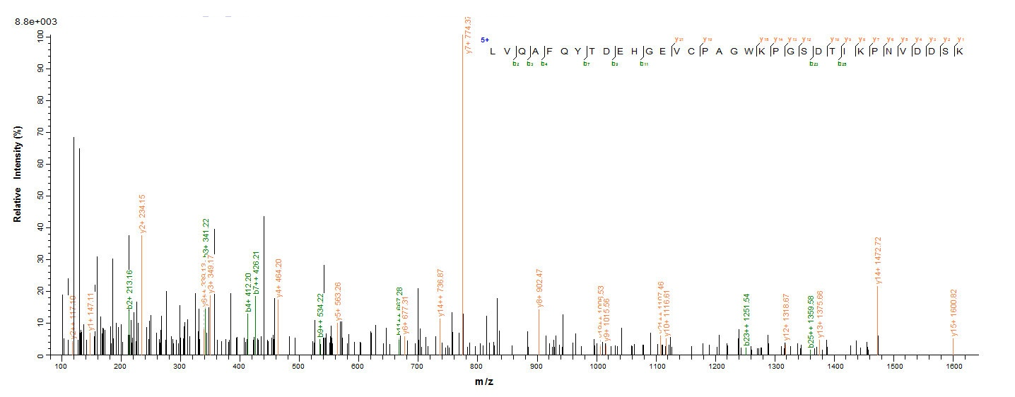 Human PRDX2 protein