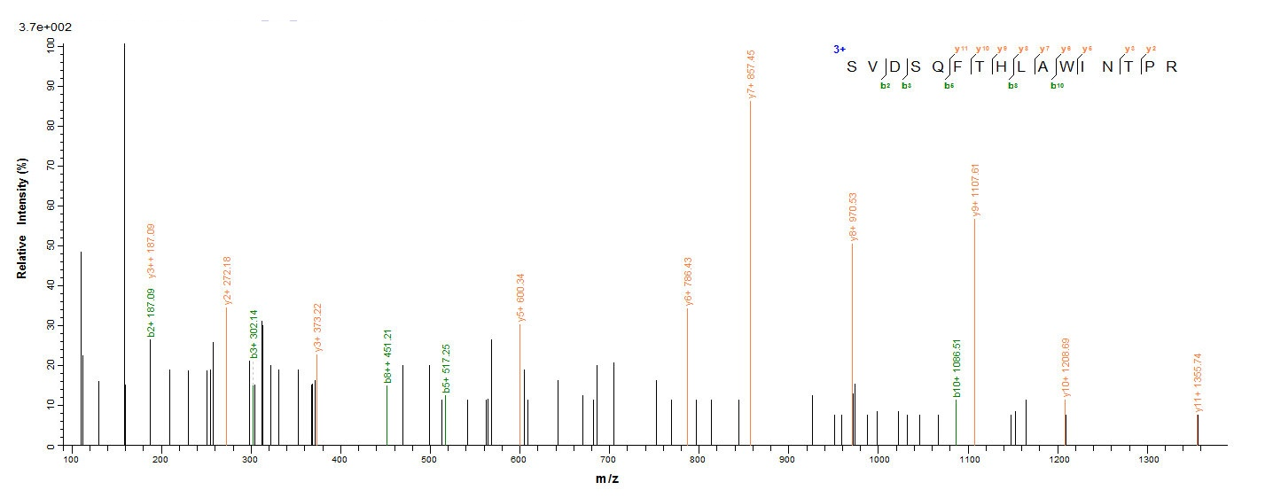 Human PRDX2 protein