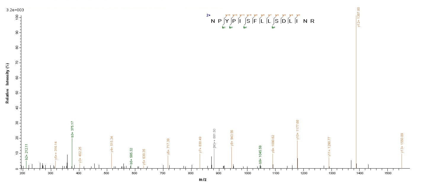 Human Major capsid protein VP1 protein