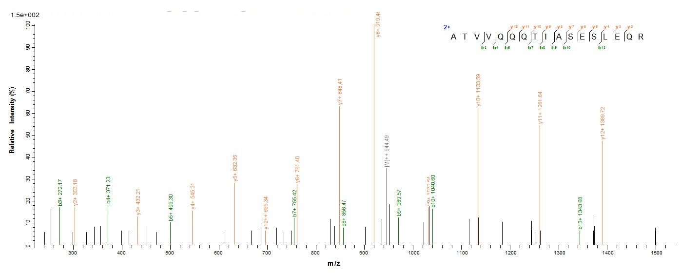 Viral VP35 protein