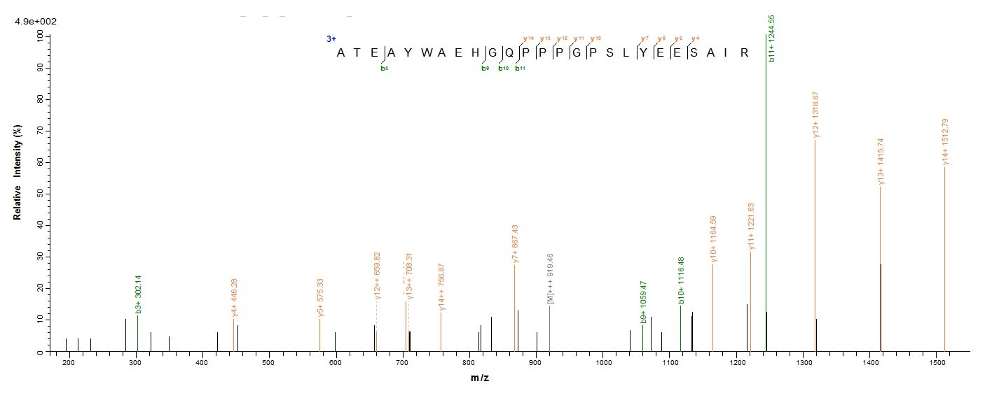 Viral VP35 protein