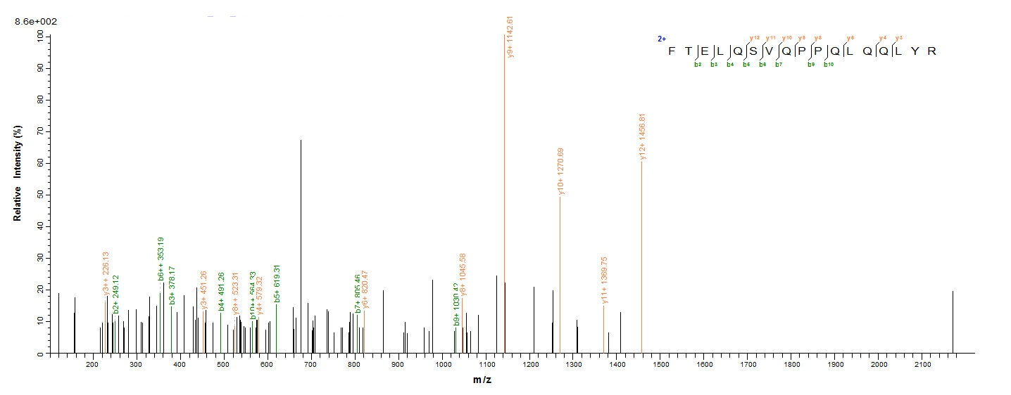 Human SPI1 protein