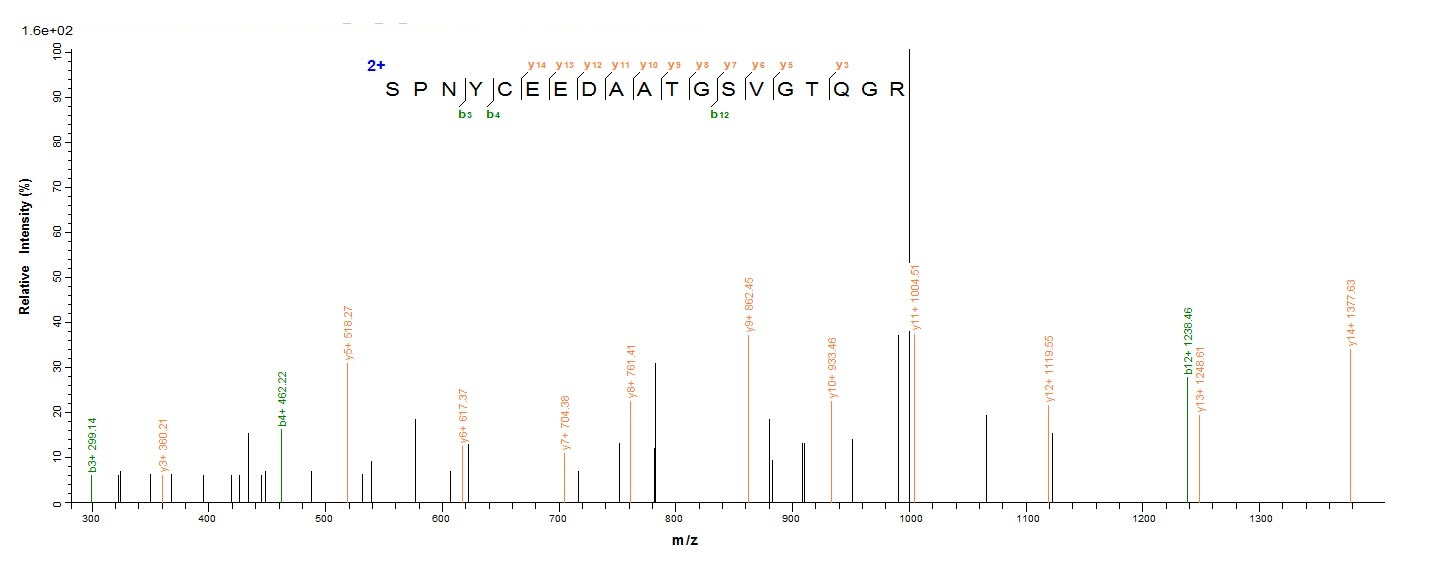 Mouse WNT7B protein