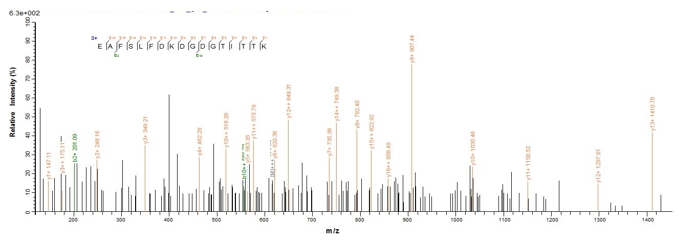 Rat CALM1 protein