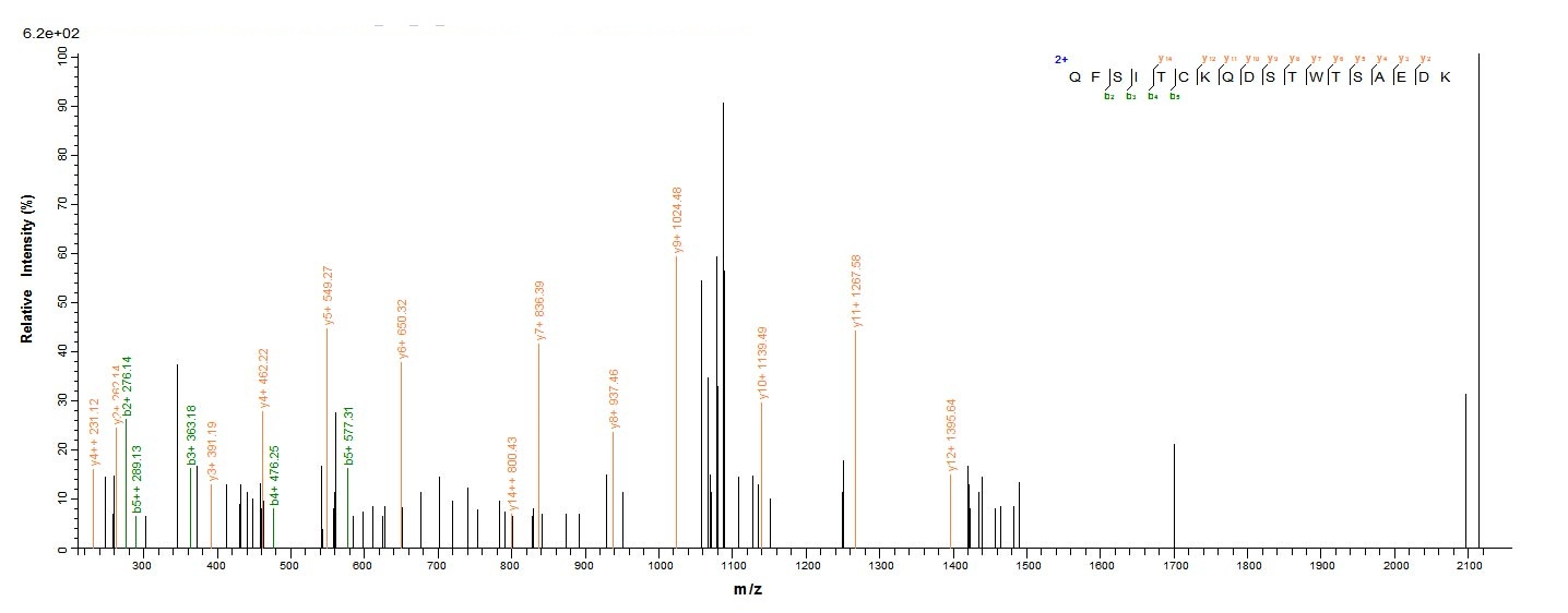 Mouse CR1L protein