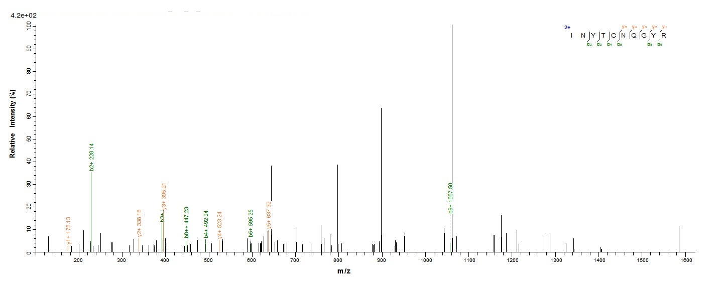 Mouse CR1L protein
