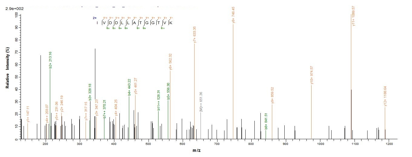 Bacterial APT protein