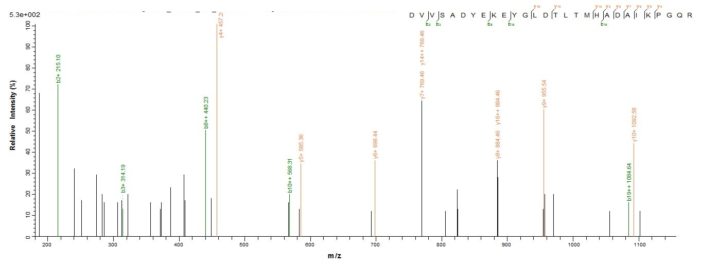 Bacterial APT protein
