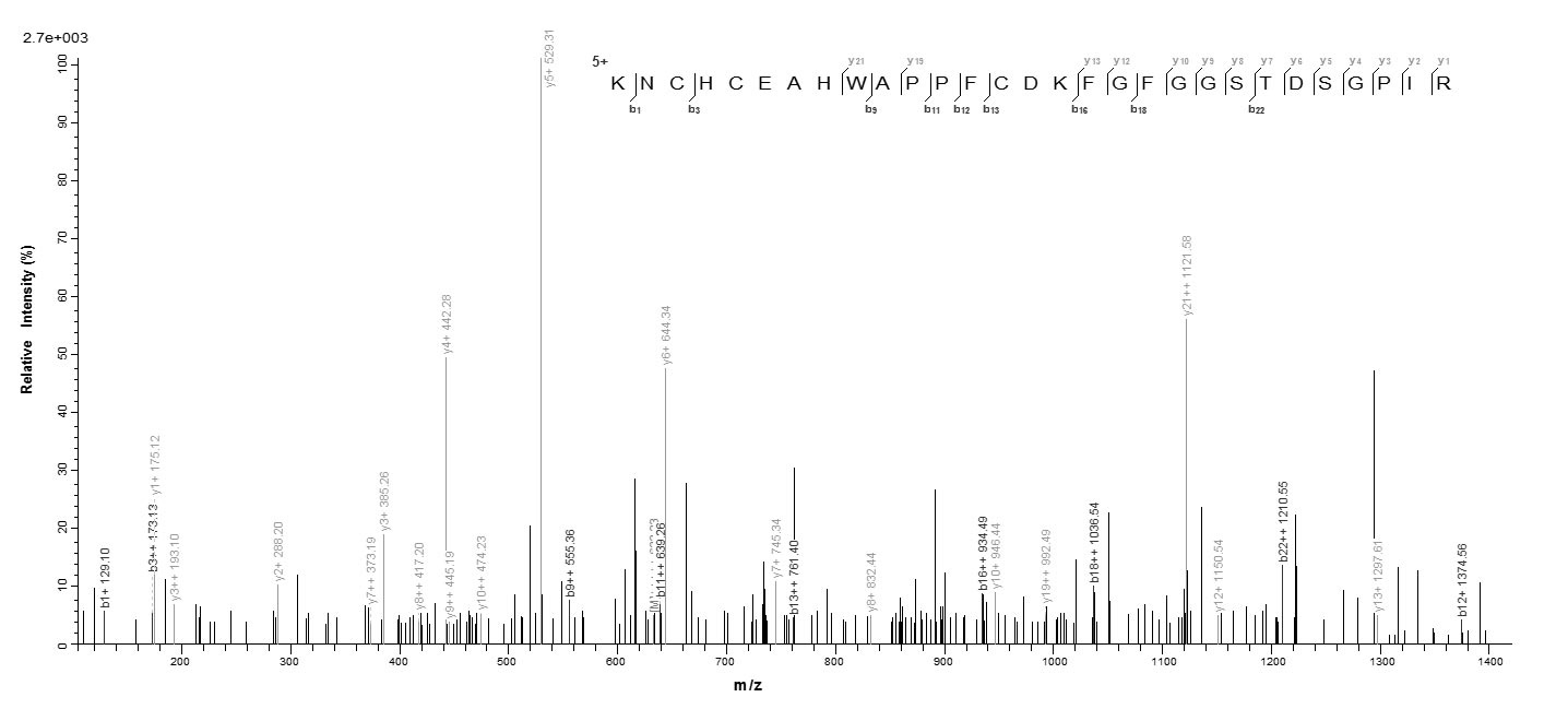 Mouse ADAM12 protein