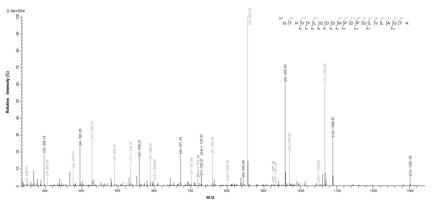 Mouse ADAM12 protein