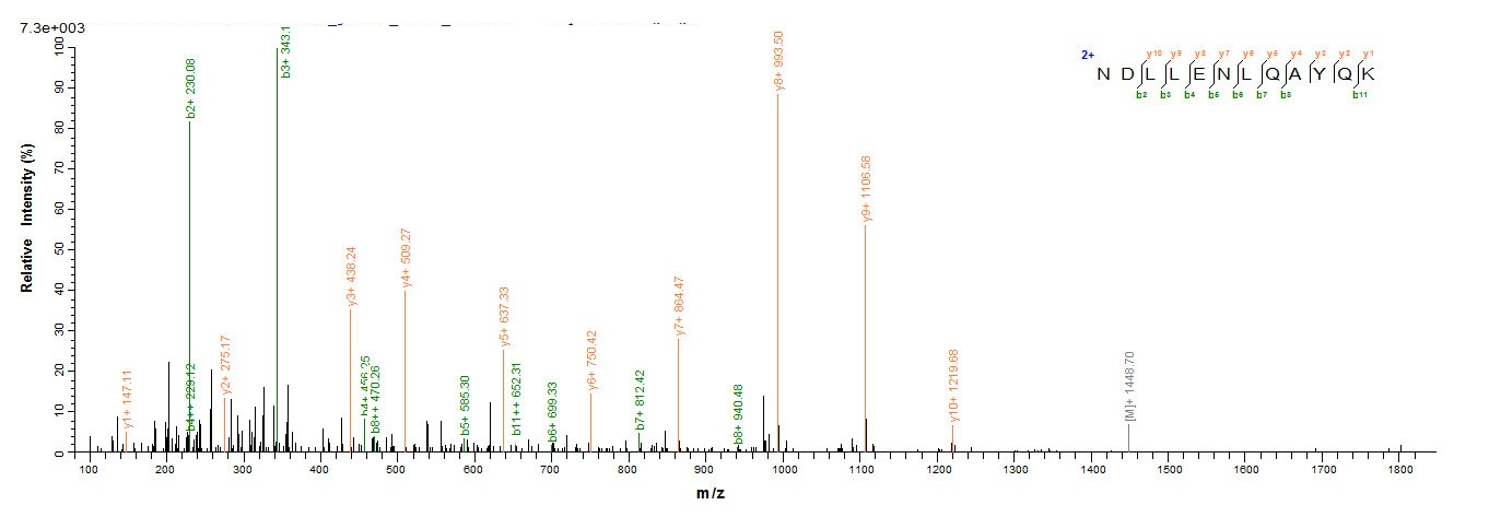 Viral Matrix protein 1 protein