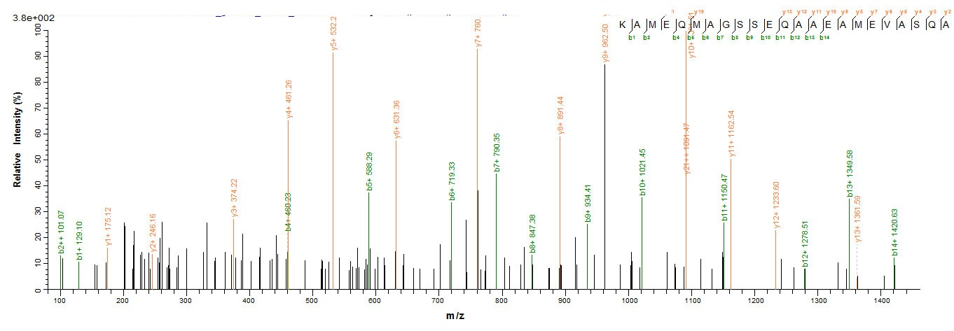 Viral Matrix protein 1 protein