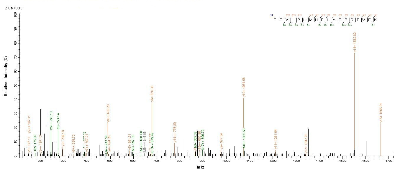 Viral Glycoprotein protein
