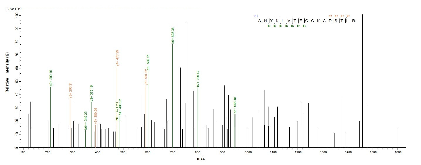 Human Protein E7 protein