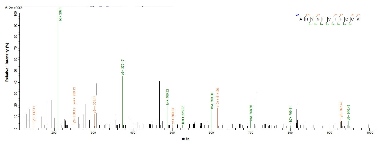 Human Protein E7 protein