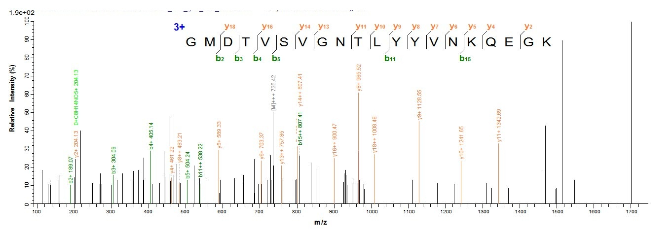 Human Fusion glycoprotein F0 protein