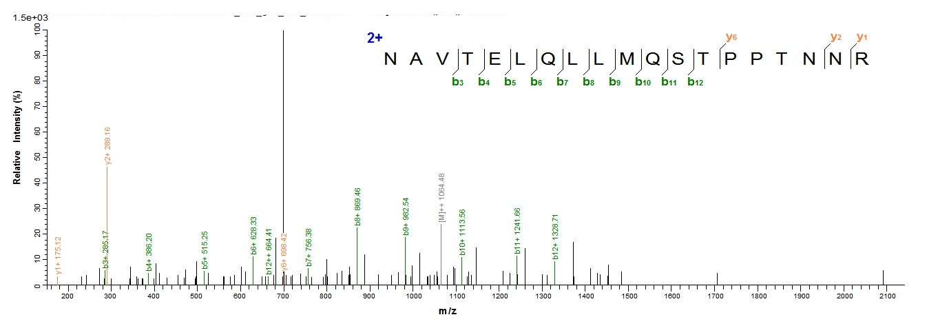 Human Fusion glycoprotein F0 protein