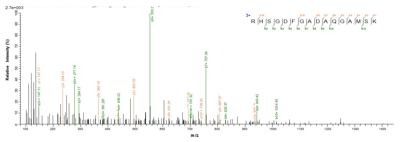 Mouse Myoglobin protein