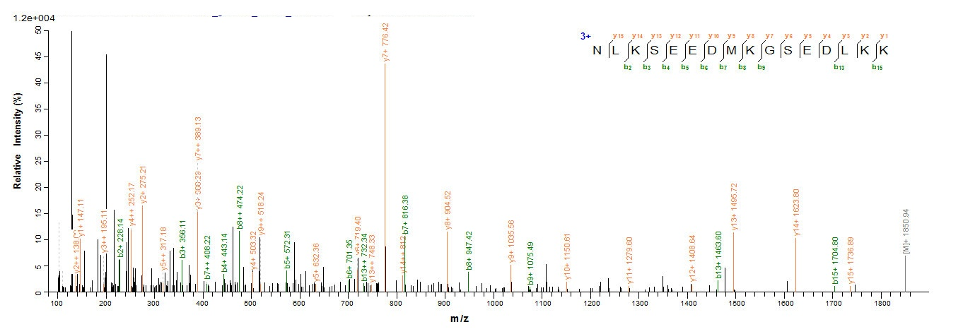 Mouse Myoglobin protein