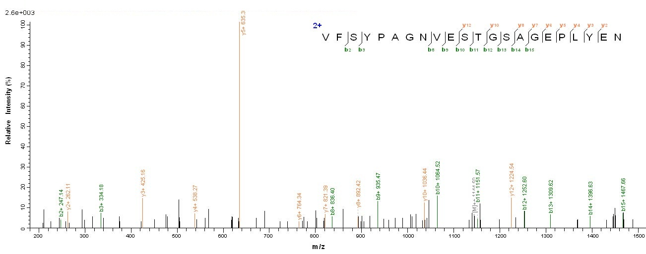 Human Tissue factor protein
