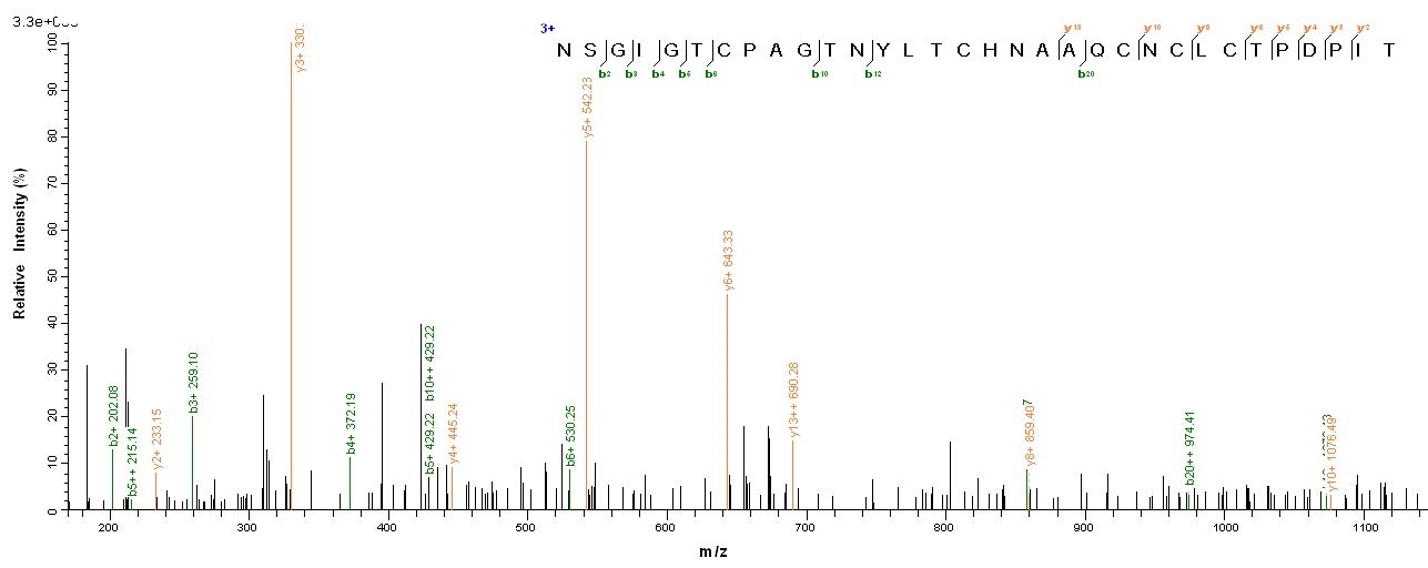 Viral Spike glycoprotein protein