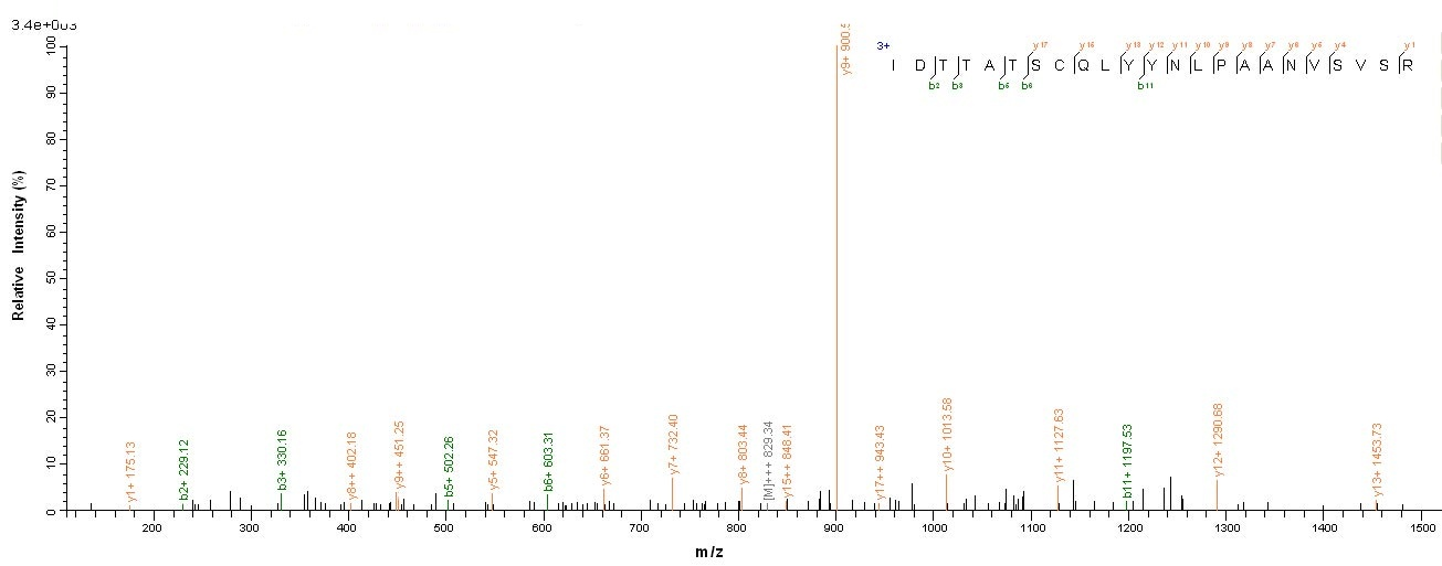Viral Spike glycoprotein protein