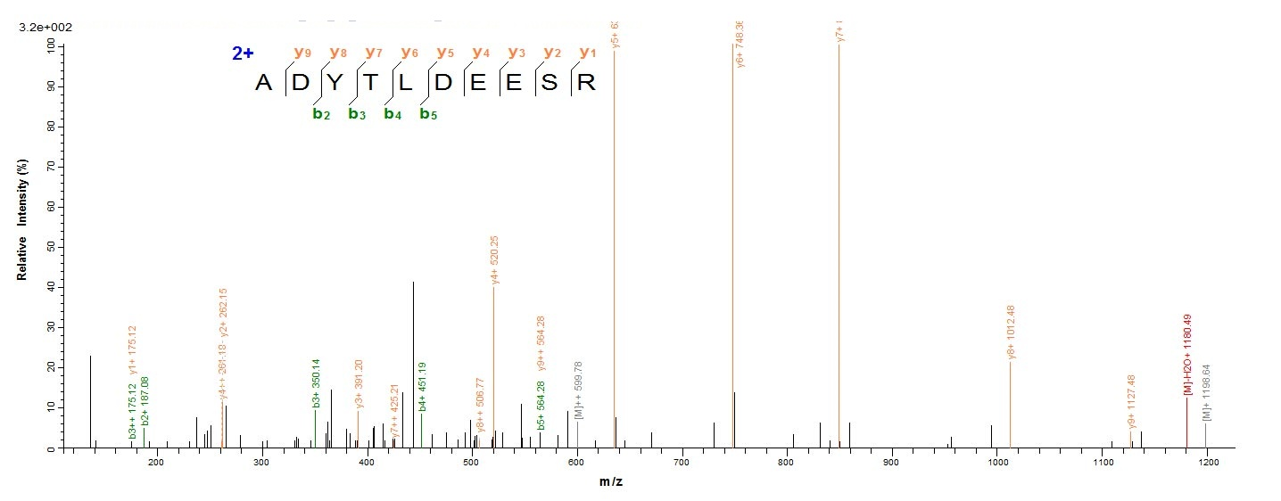 Viral Polymerase acidic protein