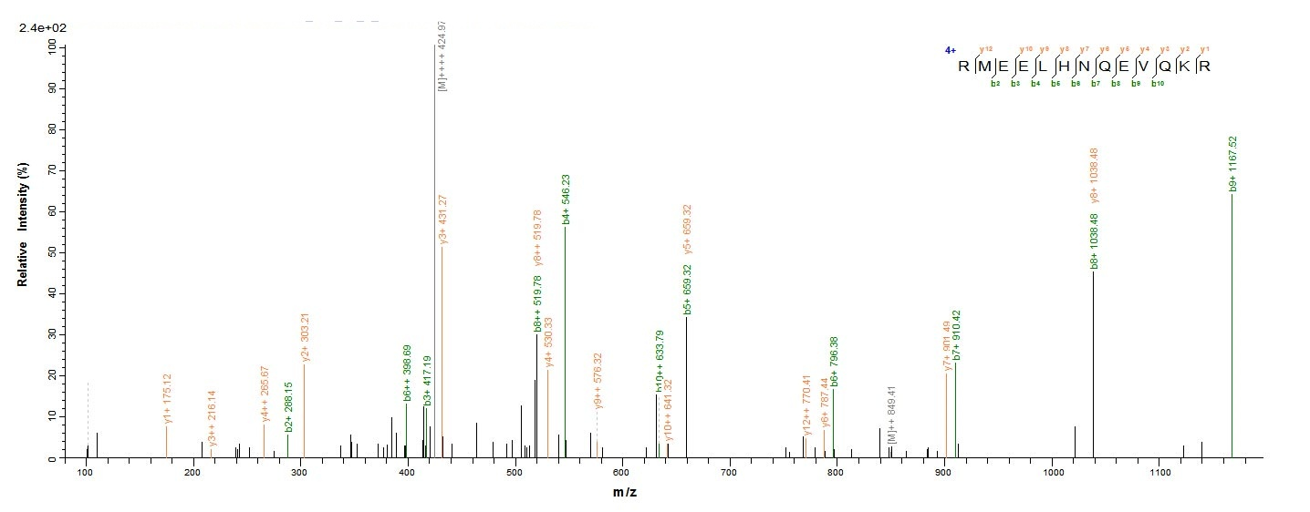 Human NONO protein