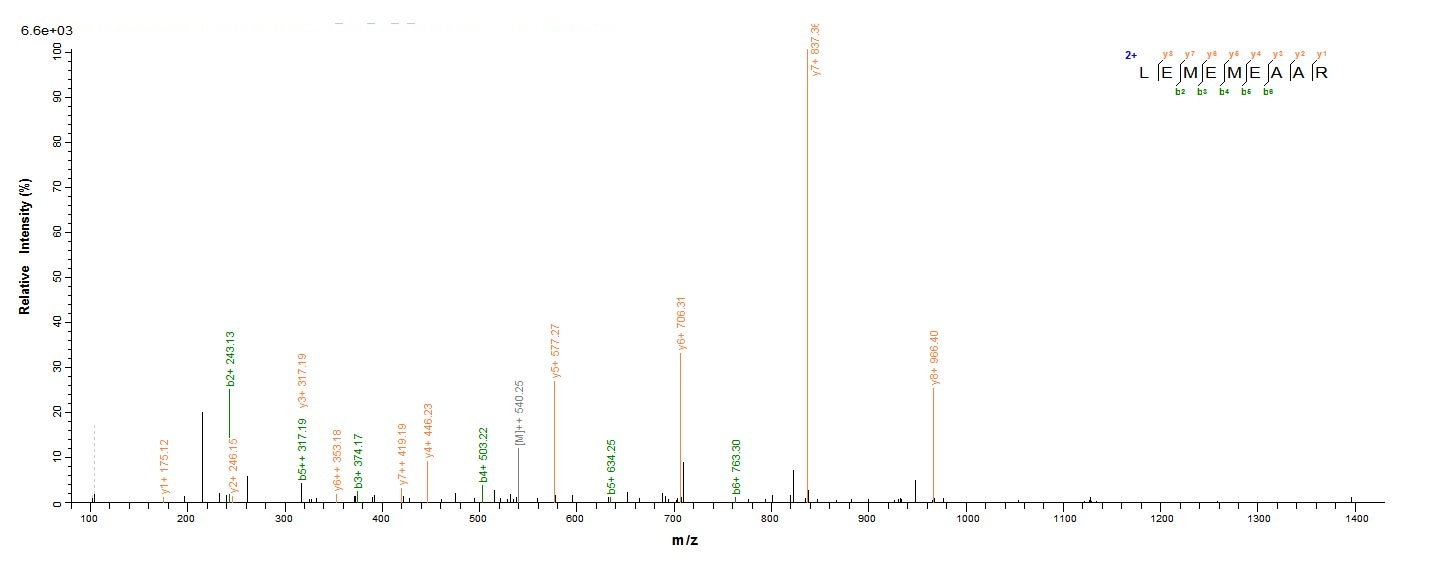 Human NONO protein