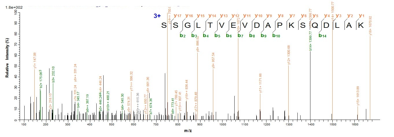 Human KRT18 protein