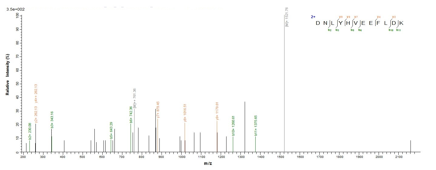Viral VACWR062 protein