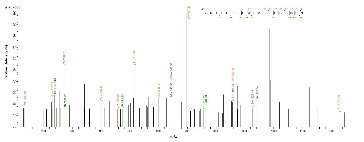 Animal Anemonia sulcata Delta-actitoxin-Avd1c protein