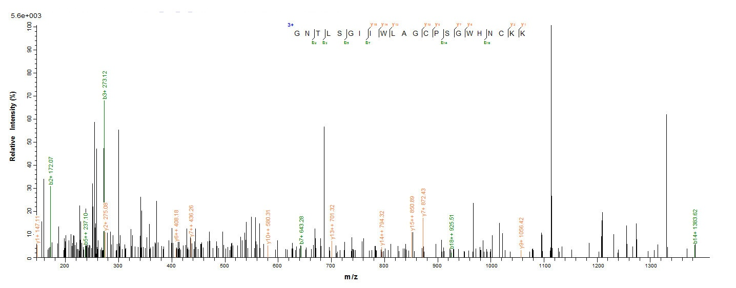Animal Anemonia sulcata Delta-actitoxin-Avd1c protein