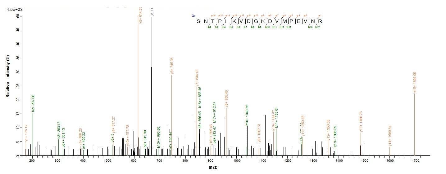Mouse Gpi protein