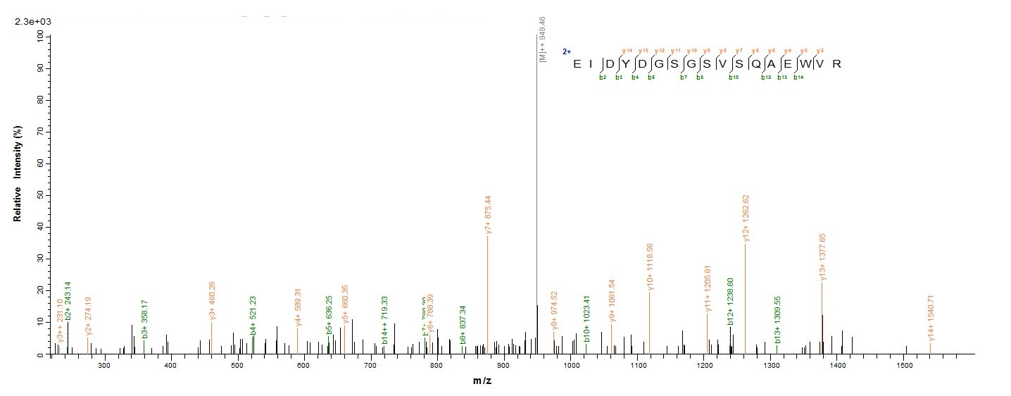 Human DGKA protein