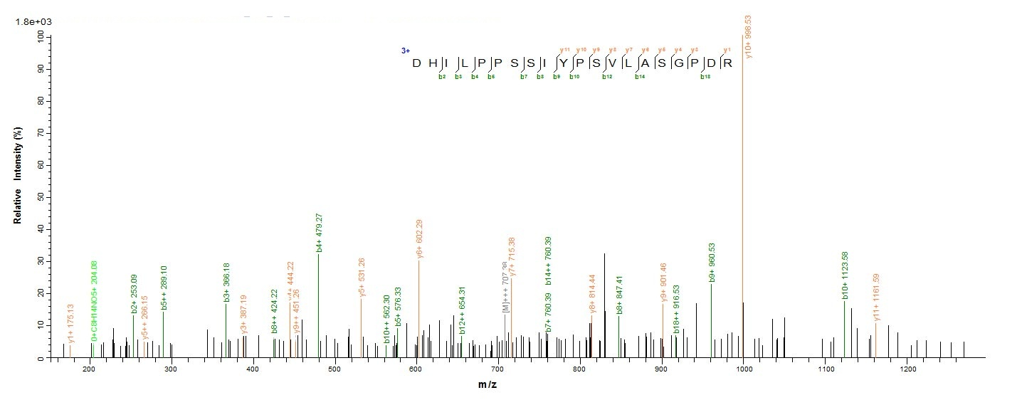 Human DGKA protein