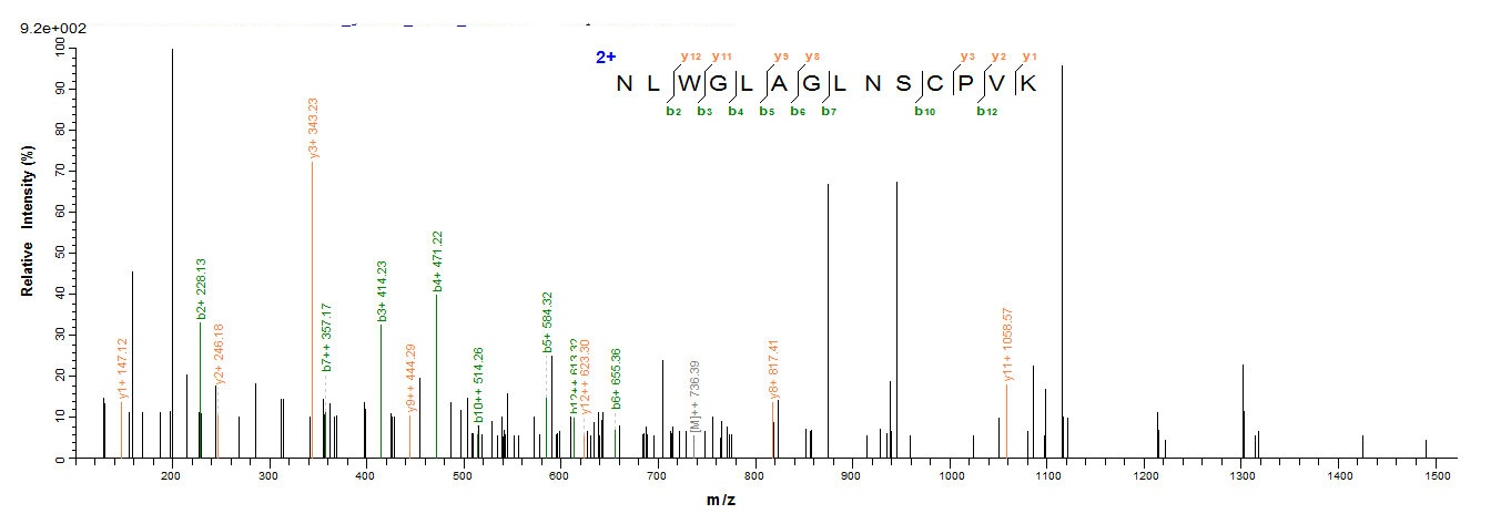 Monkey IL4 protein