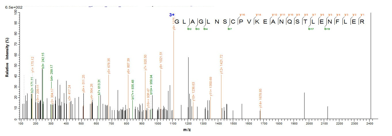 Monkey IL4 protein